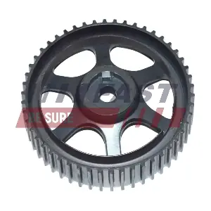 FT45593 FAST