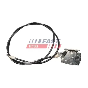 FT95383 FAST
