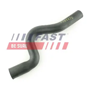 FT61475 FAST