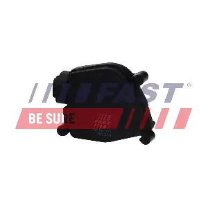 FT02329 FAST