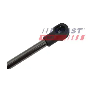 FT00183 FAST