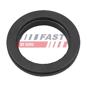 FT10089 FAST