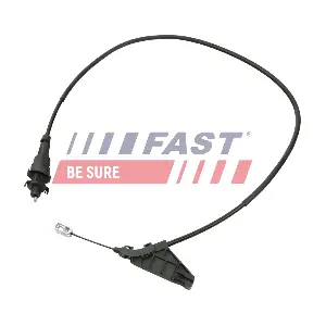 FT69062 FAST