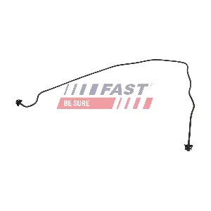 FT00871 FAST