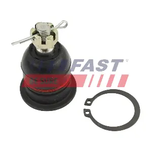 FT01689 FAST