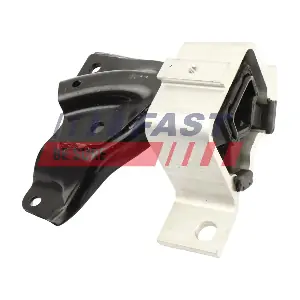 FT10308 FAST
