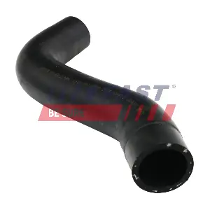 FT61138 FAST