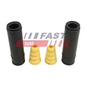 FT00785 FAST