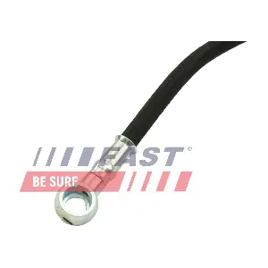 FT38517 FAST