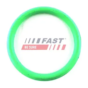 FT49434 FAST