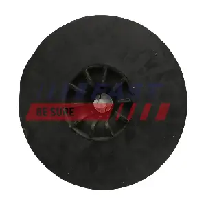 FT12617 FAST
