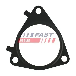 FT49546 FAST