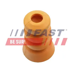 FT12608 FAST
