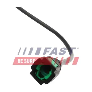 FT00858 FAST