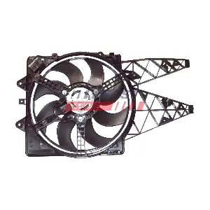 FT56181 FAST