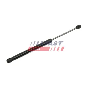 FT00187 FAST