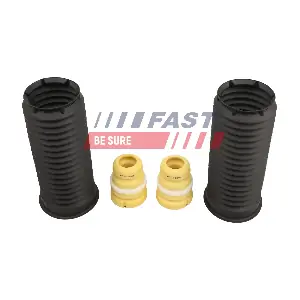 FT01298 FAST