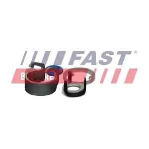 FT11357 FAST