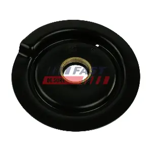 FT12228 FAST