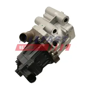 FT60248 FAST