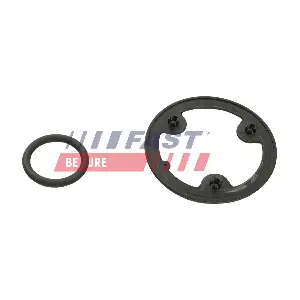 FT48954 FAST