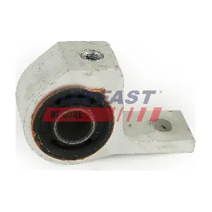 FT18038 FAST