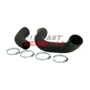 FT61979 FAST