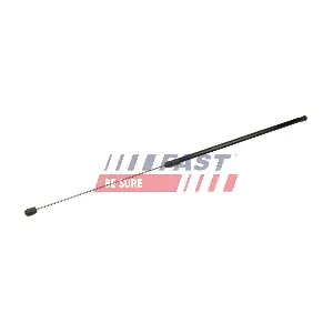 FT94806 FAST