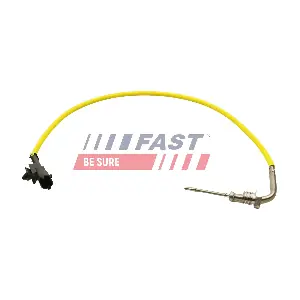 FT80246 FAST