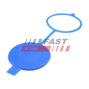 FT94742 FAST