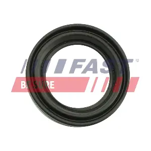 FT32483 FAST