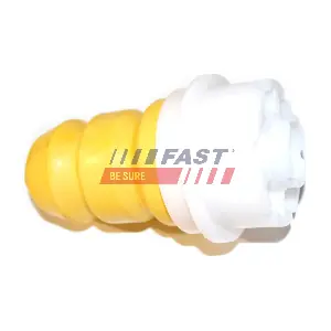 FT12171 FAST
