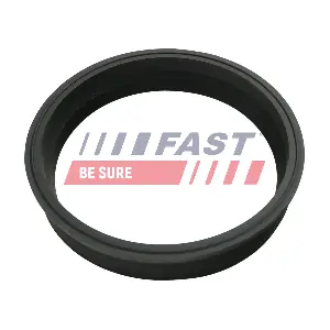 FAST FT48501