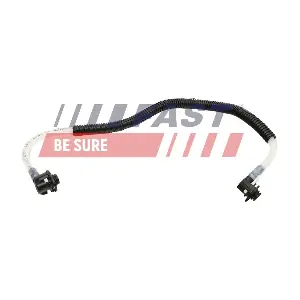 FT00243 FAST