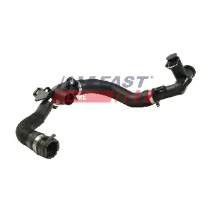 FT61195 FAST