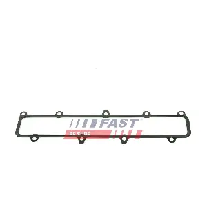 FT49541 FAST