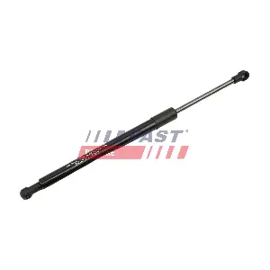 FT00184 FAST