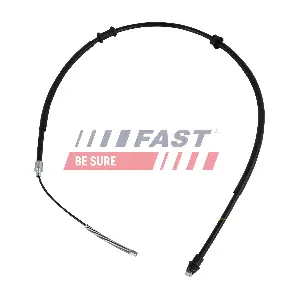 FT69155 FAST