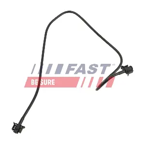 FT10695 FAST