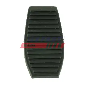 FT13069 FAST