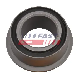 FT18310 FAST