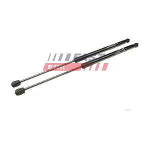 FT00208K FAST