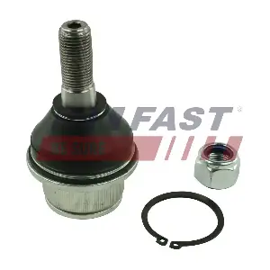 FT17118 FAST