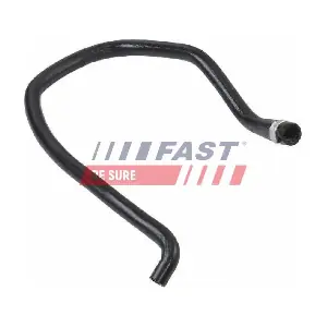 FT61382 FAST