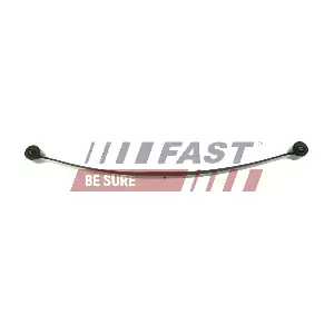 FT13361 FAST