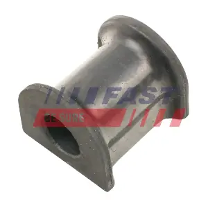 FT18483 FAST