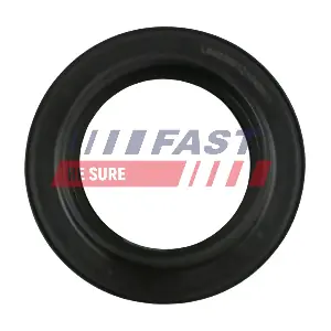 FT12406 FAST
