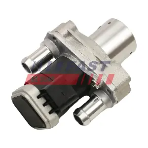 FT60219 FAST