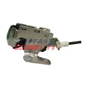 FT95382 FAST