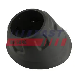 FT95655 FAST